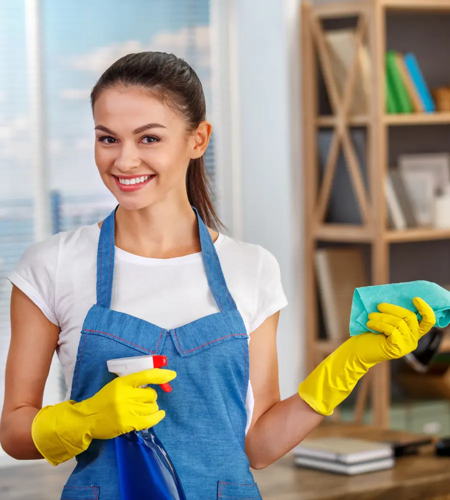 Hit House & Maid Cleaning Services in Richardson