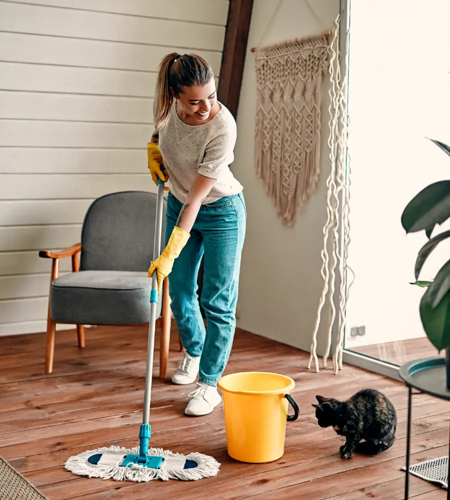 house cleaning and maid services in Forney, TX